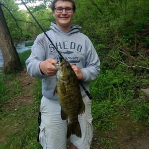 Meet your Posher, Brendan